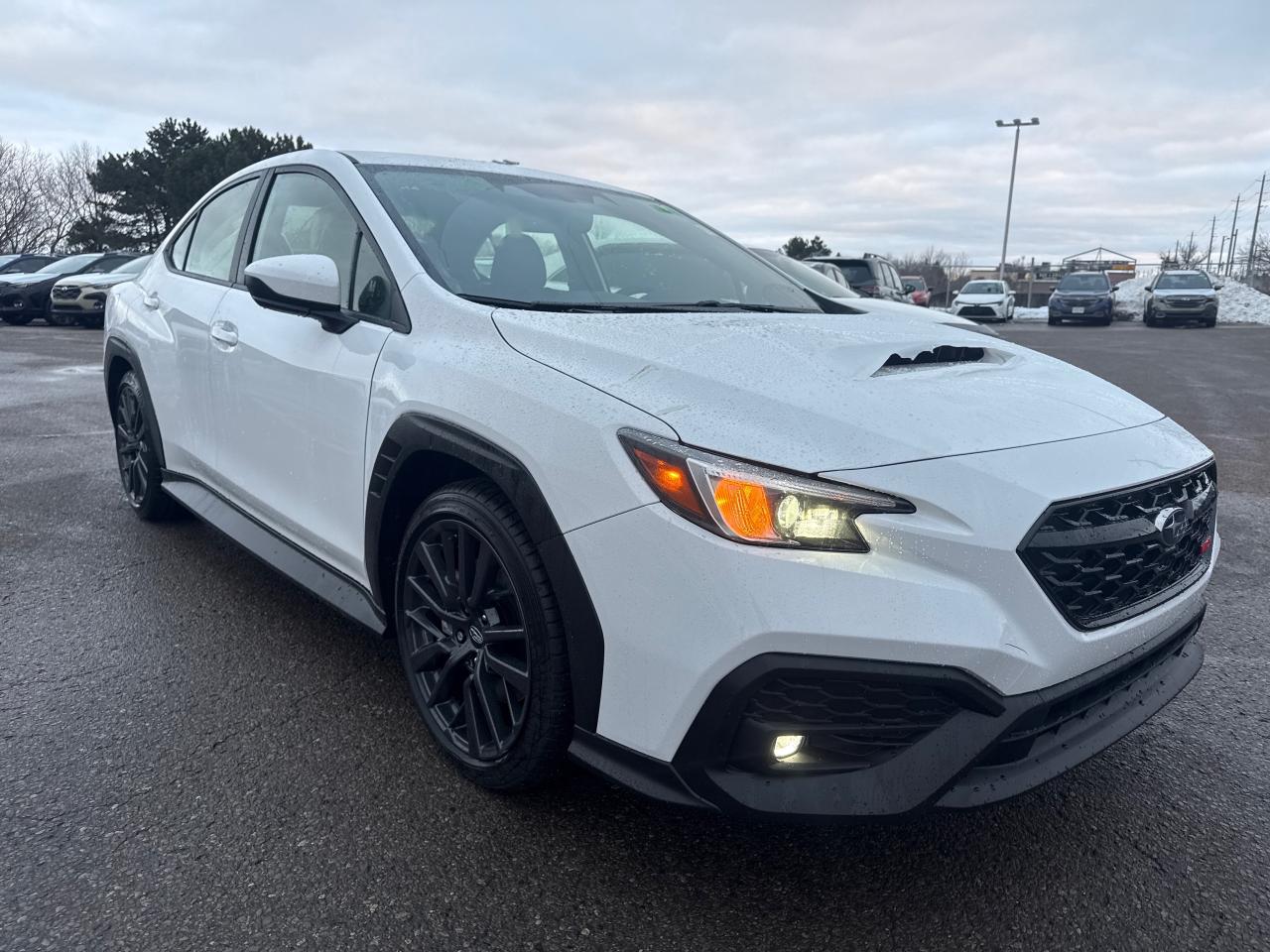 2025 Subaru WRX Sport (M6) 4dr All-Wheel Drive Sedan Photo