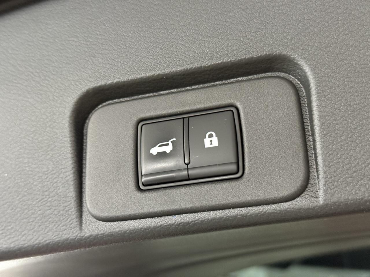 2023 Nissan Rogue No Accident l OneOwner l Platinum l NissanWarranty Photo