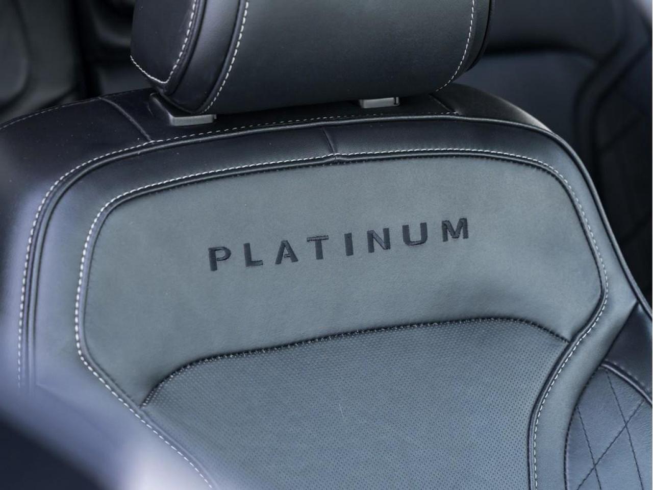 2017 Ford Explorer Platinum 4dr 4x4 Photo