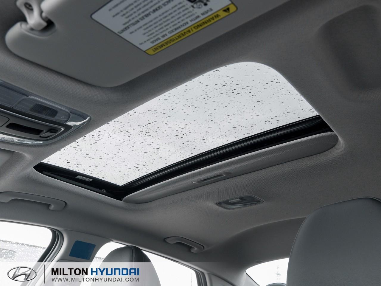 2026 Hyundai Elantra  Photo