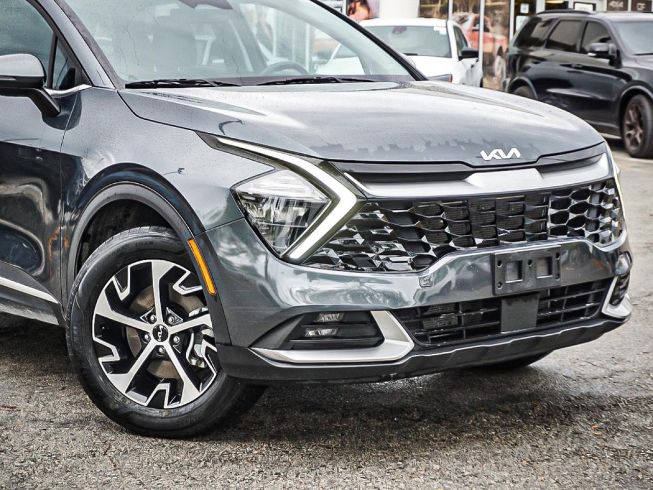 2024 Kia Sportage  Photo