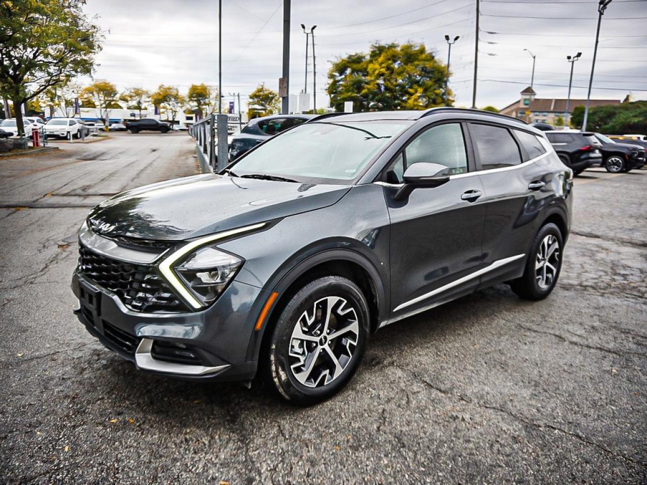 2024 Kia Sportage  Photo