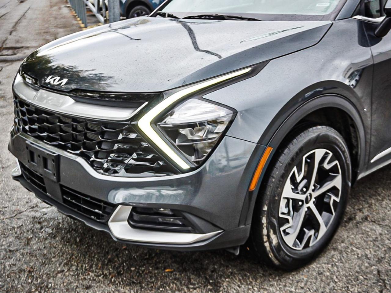 2024 Kia Sportage  Photo