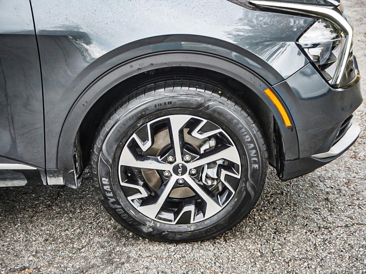 2024 Kia Sportage  Photo