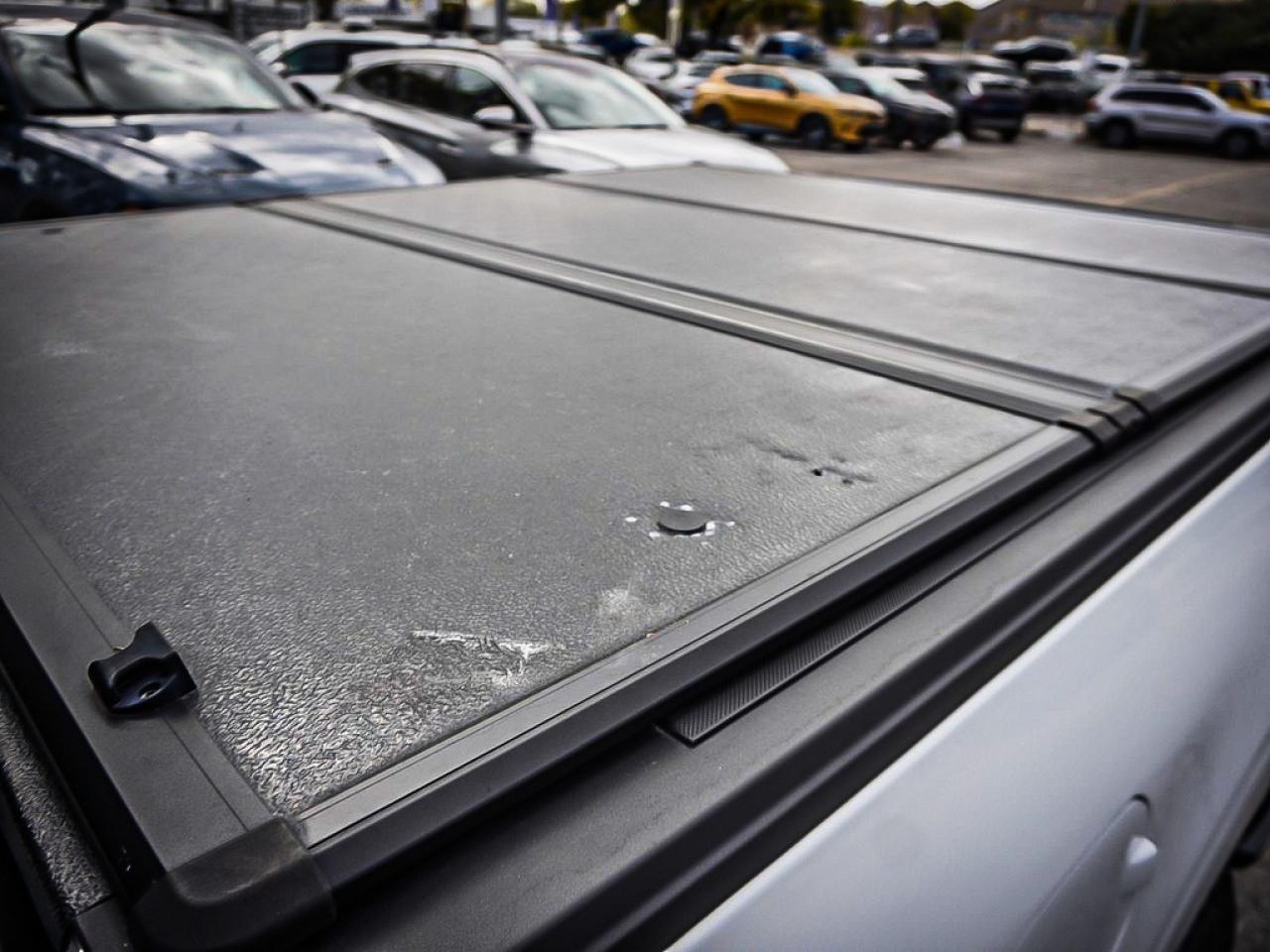 2022 Ford F-150  Photo