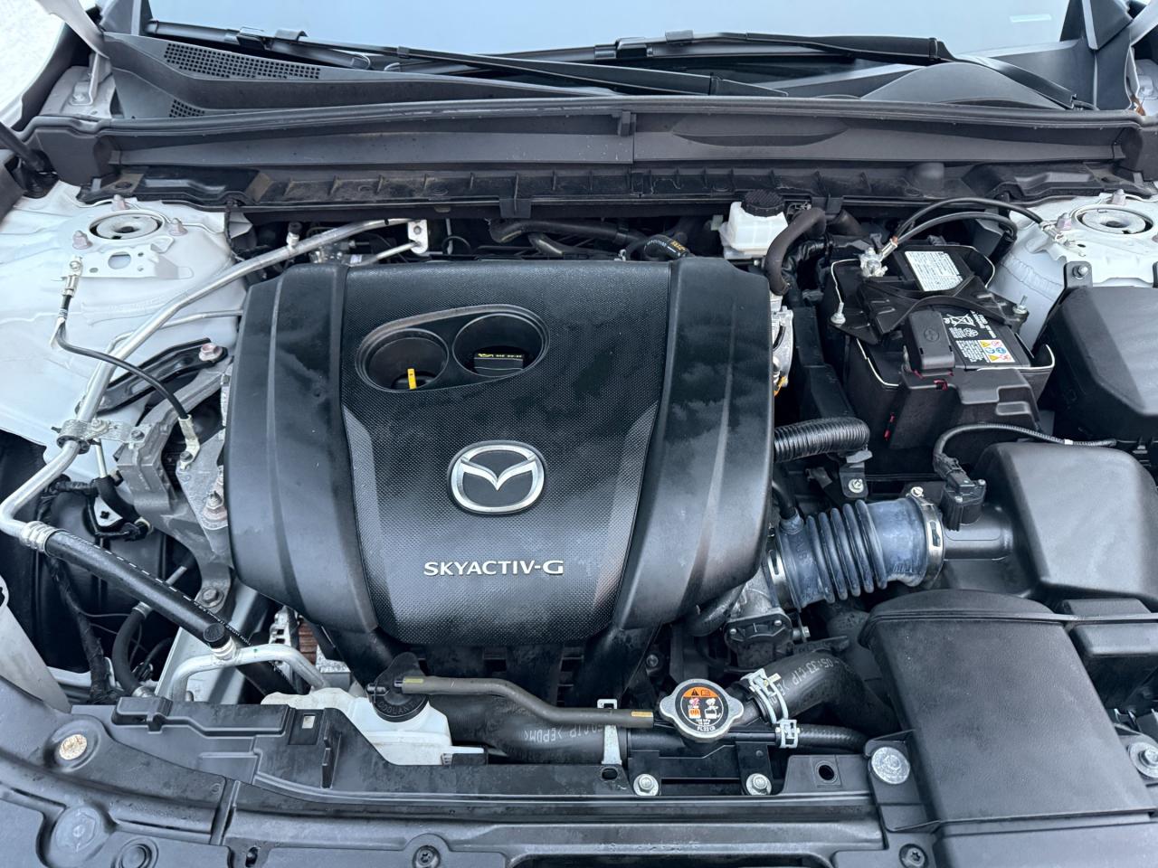 2023 Mazda CX-50 GT 4dr All-Wheel Drive Sport Utility Photo