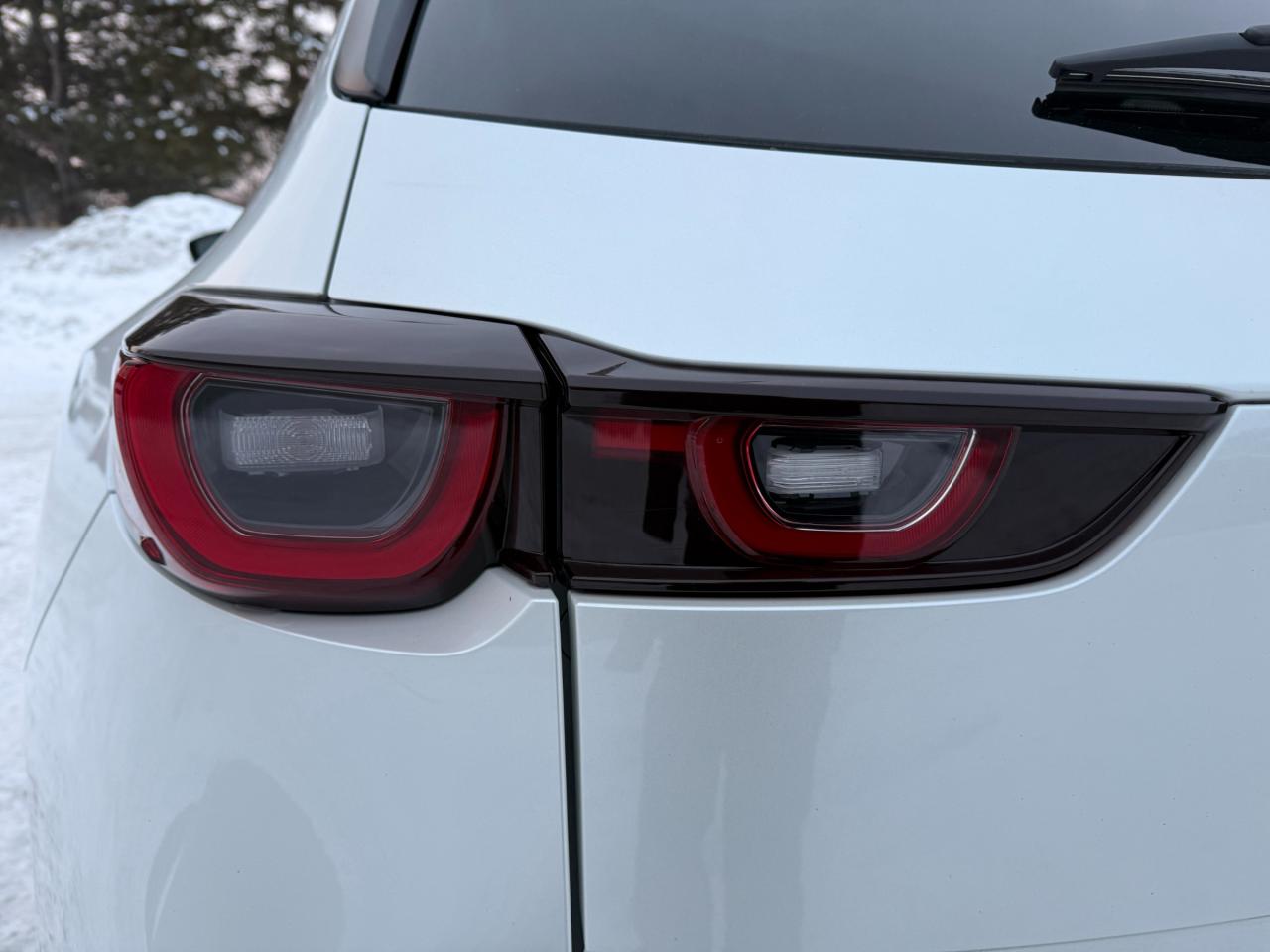 2023 Mazda CX-50 GT 4dr All-Wheel Drive Sport Utility Photo