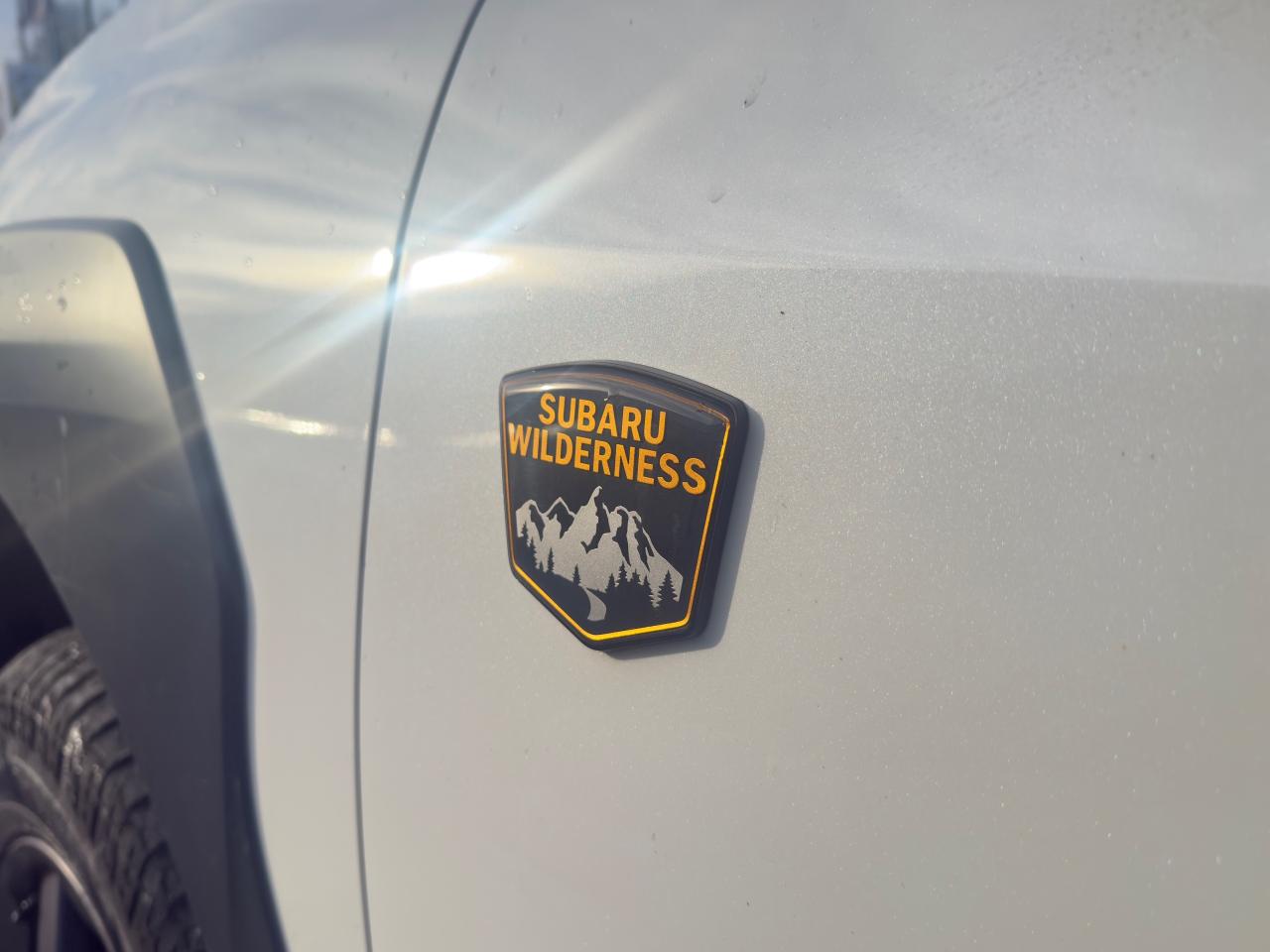 2023 Subaru Outback Wilderness 4dr All-Wheel Drive Photo