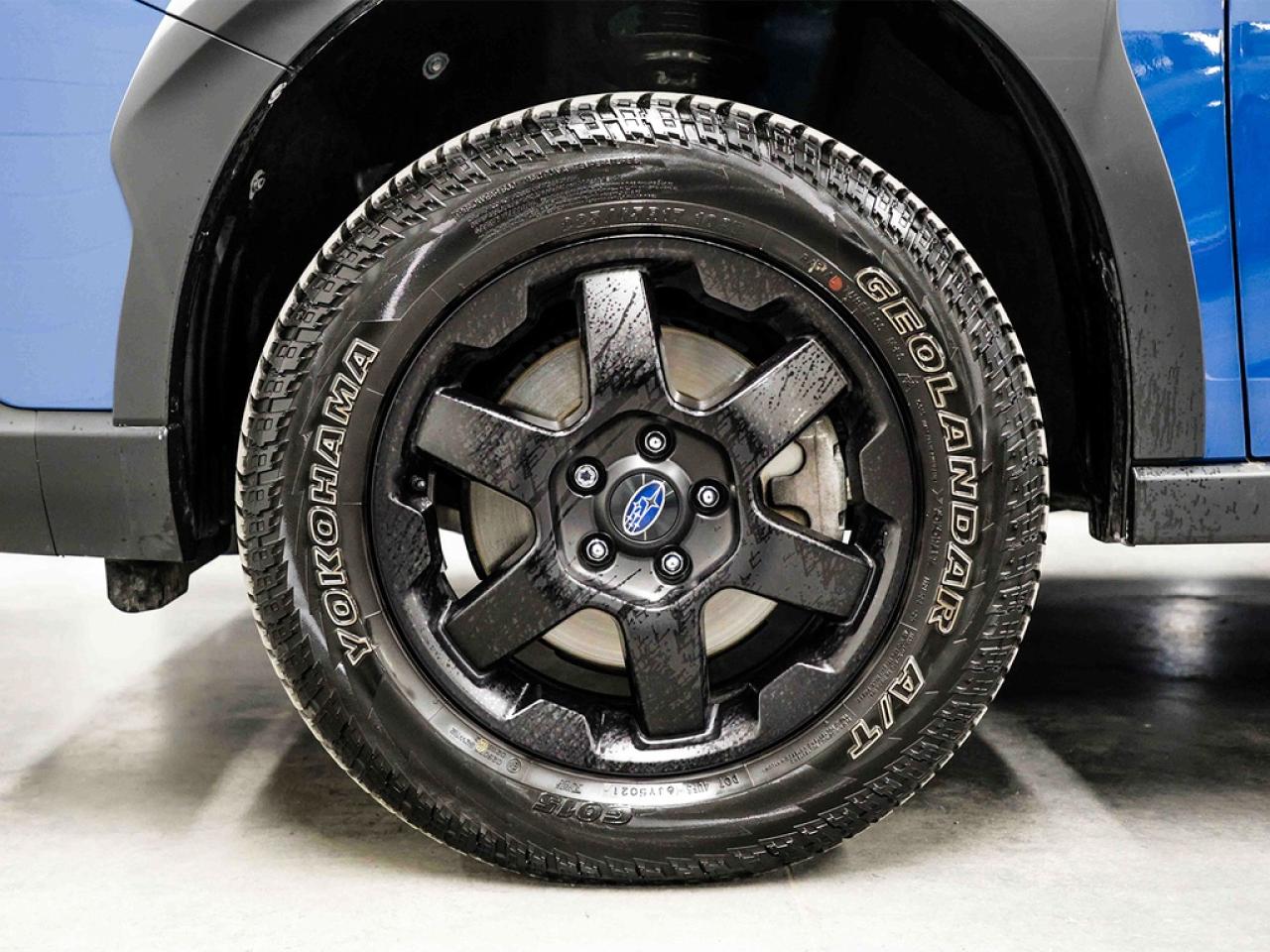 2023 Subaru Outback  Photo