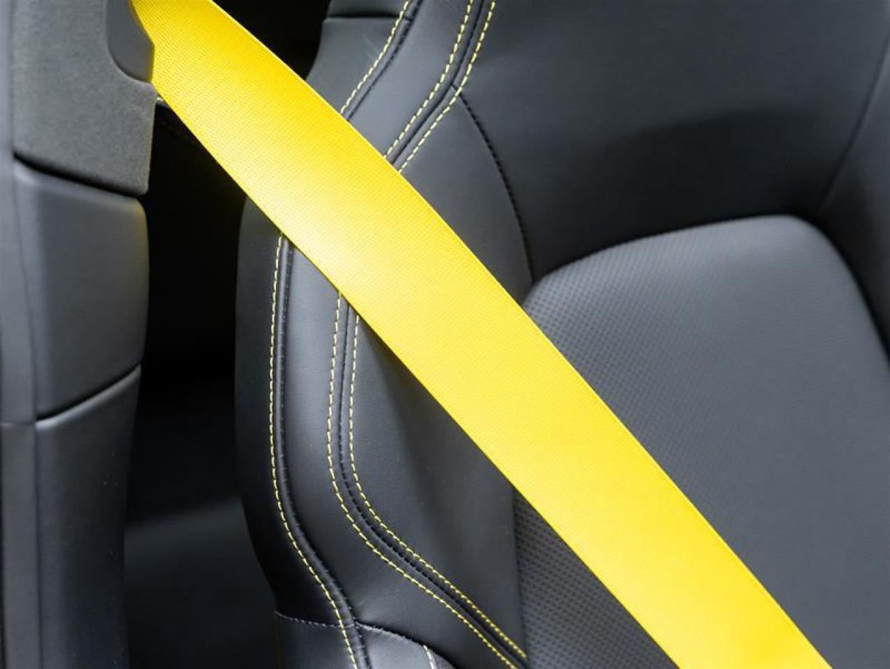 2025 Porsche 911  Photo