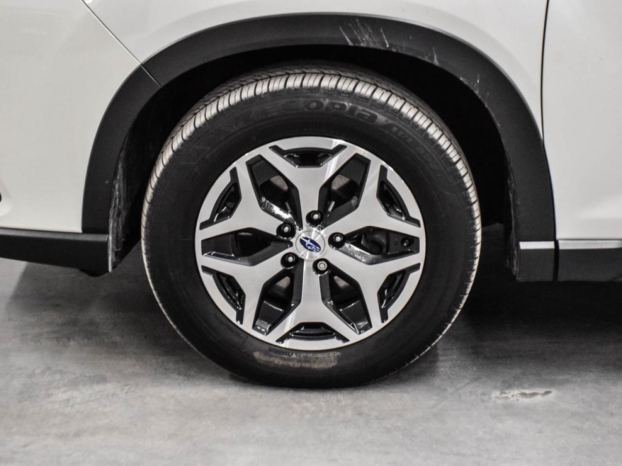 2024 Subaru Forester  Photo