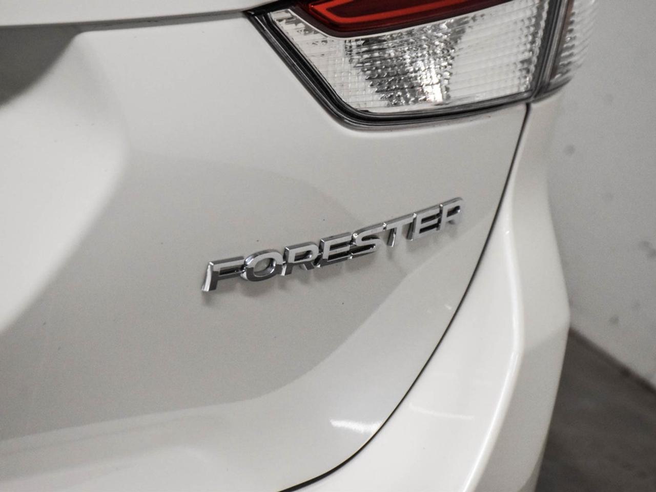 2024 Subaru Forester  Photo