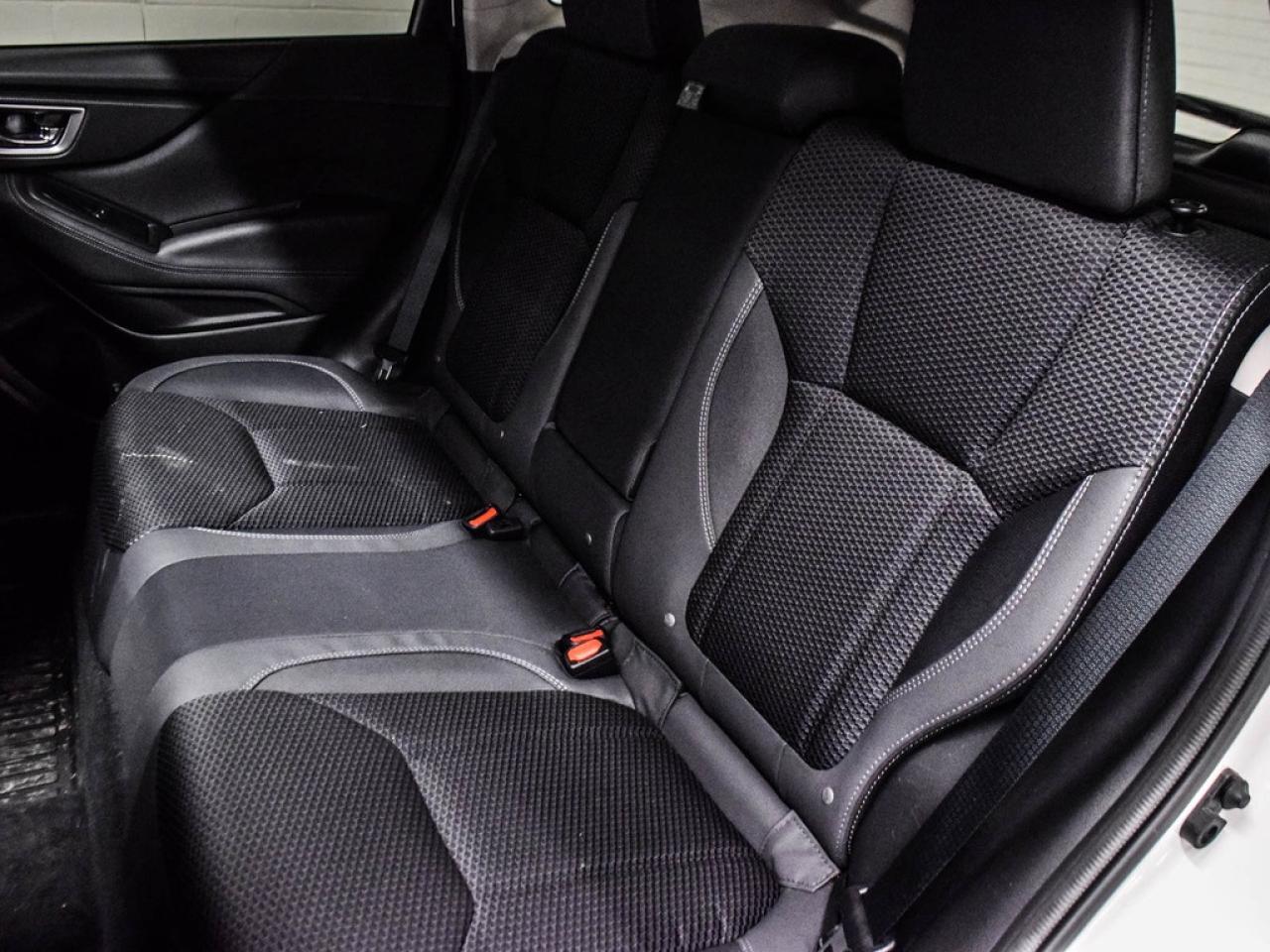 2024 Subaru Forester  Photo