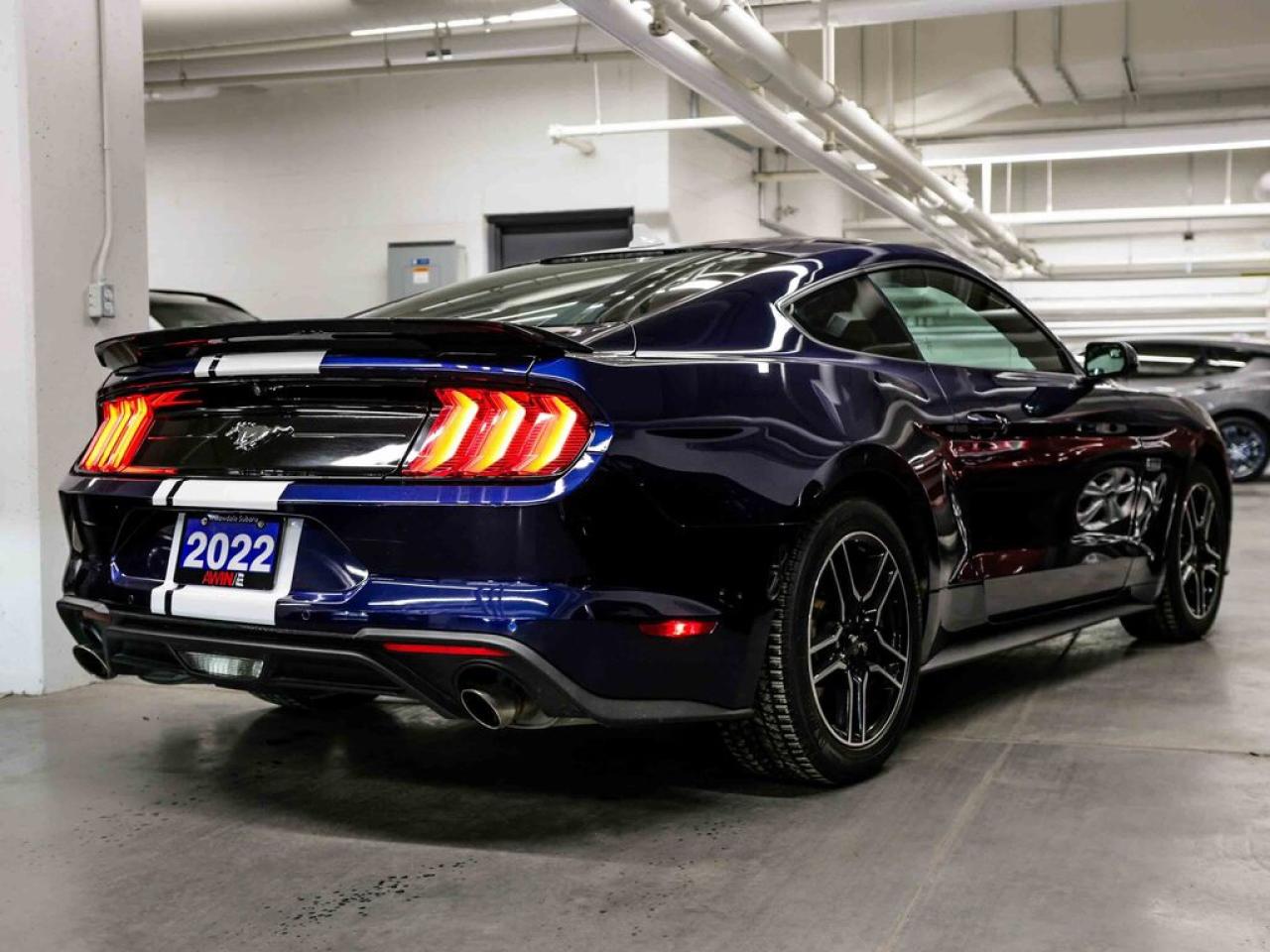 2020 Ford Mustang  Photo3