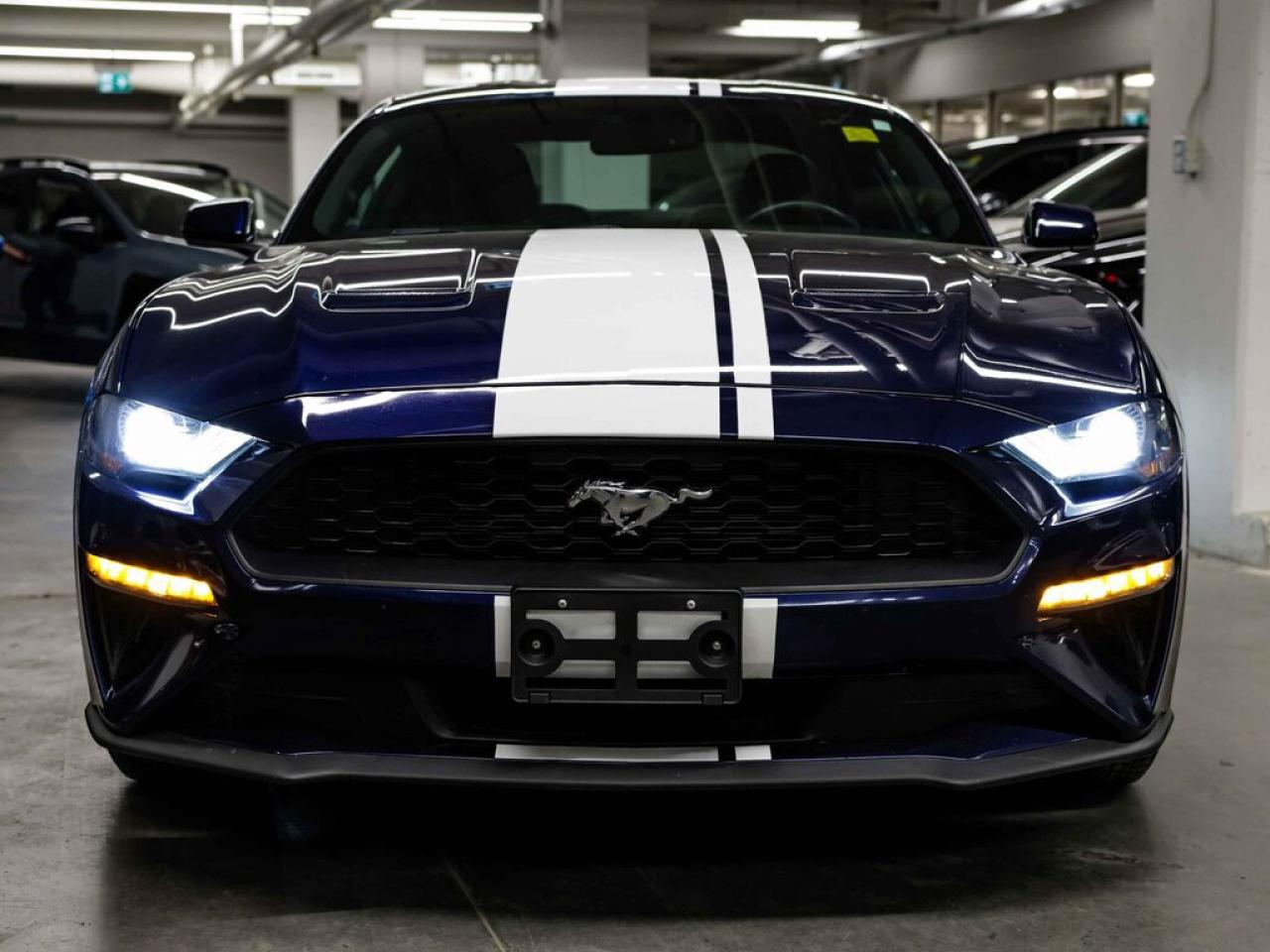 2020 Ford Mustang  Photo