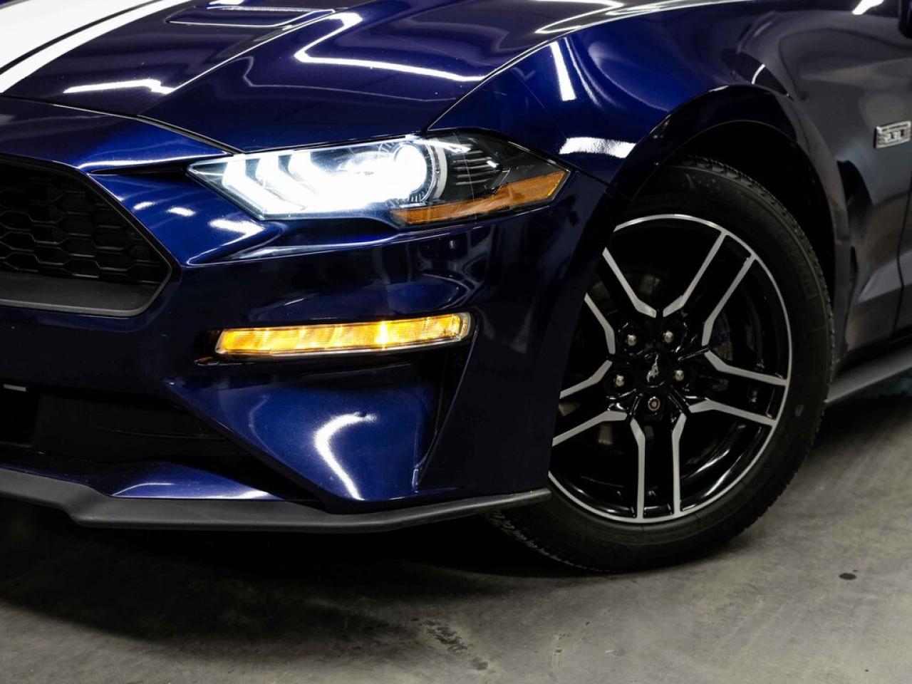 2020 Ford Mustang  Photo
