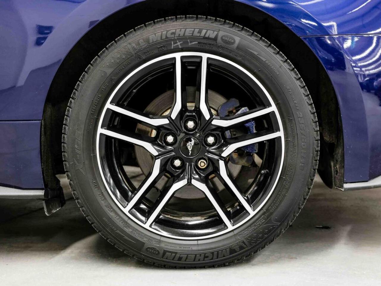 2020 Ford Mustang  Photo