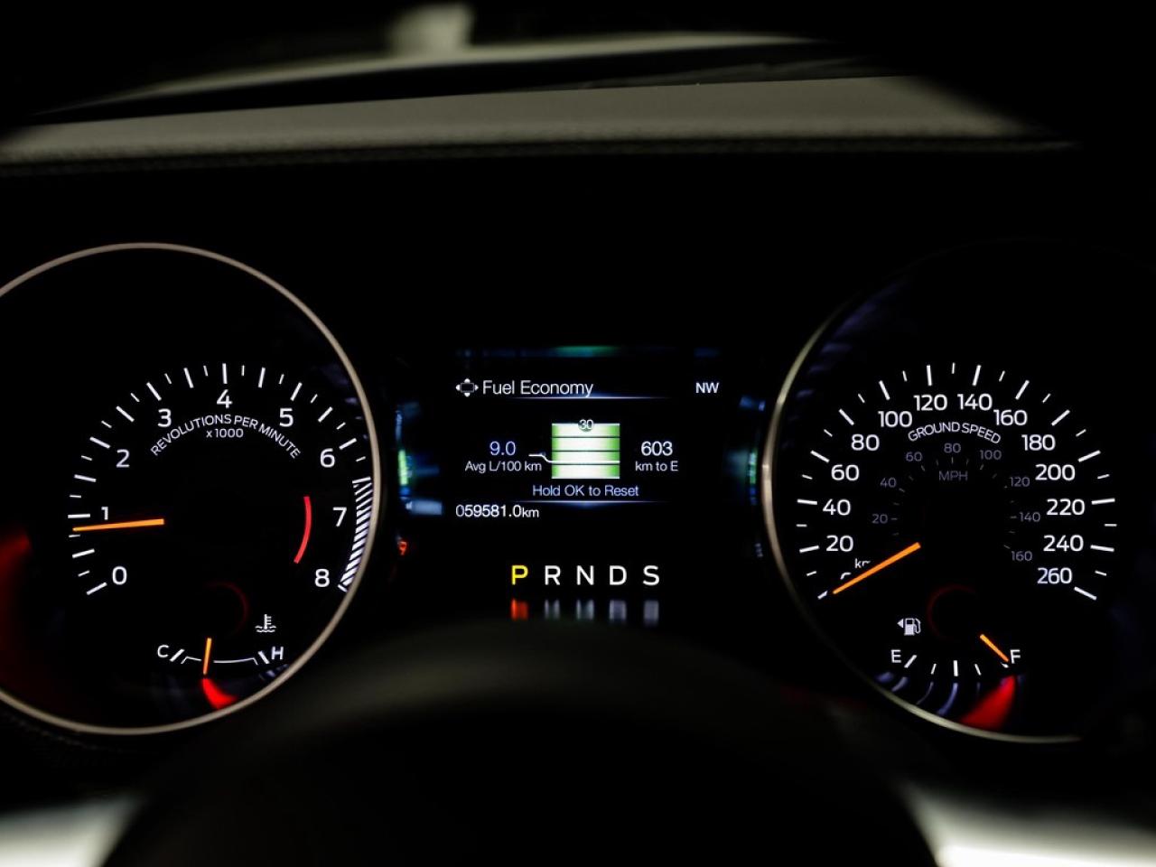 2020 Ford Mustang  Photo