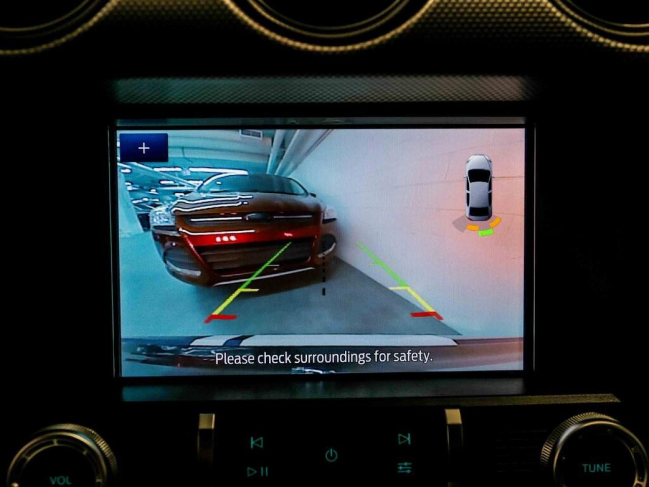 2020 Ford Mustang  Photo