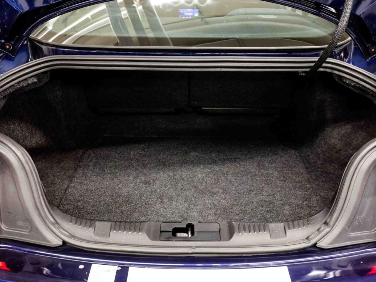 2020 Ford Mustang  Photo