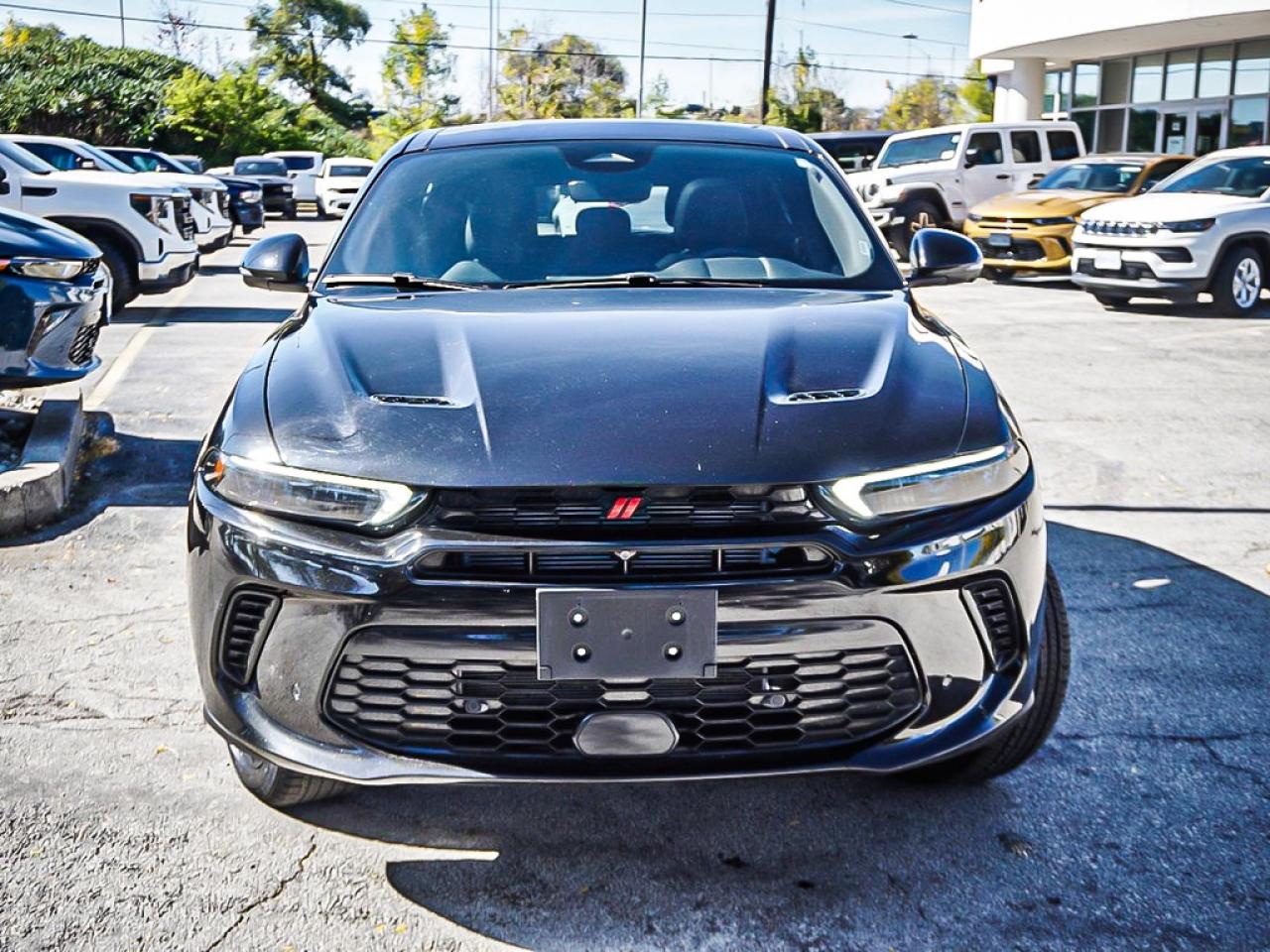 2024 Dodge Hornet  Photo2