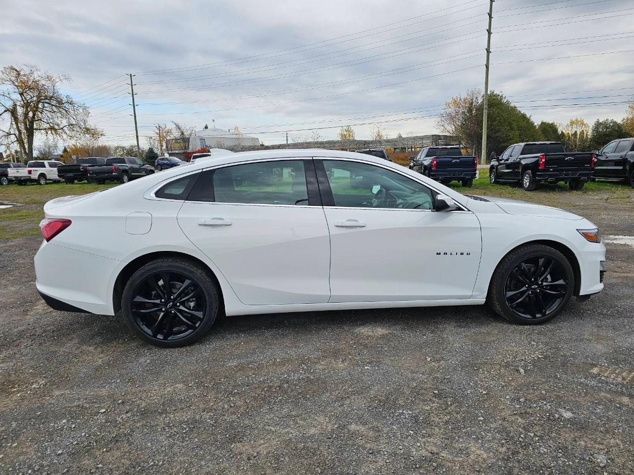 2024 Chevrolet Malibu 1LT 4dr Sedan Photo