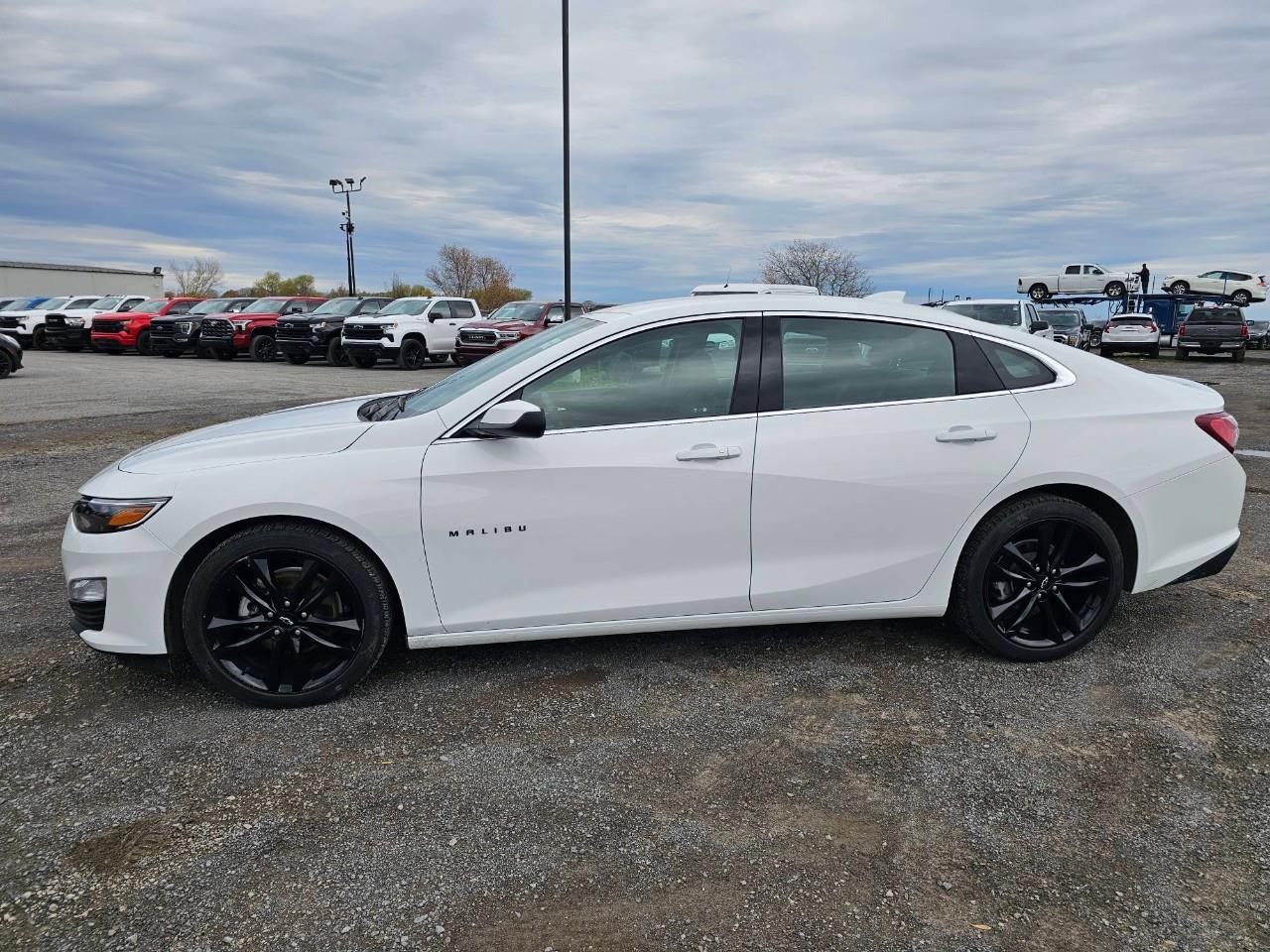 2024 Chevrolet Malibu 1LT 4dr Sedan Photo