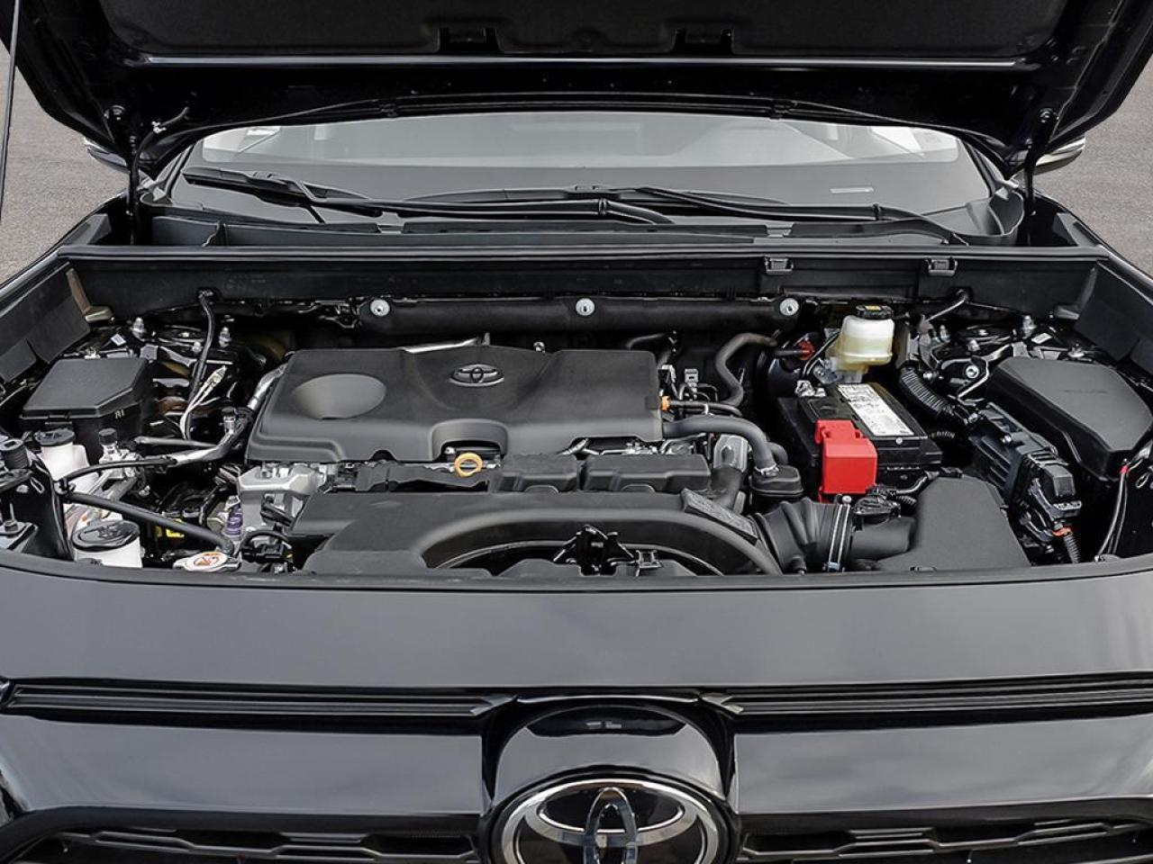 2025 Toyota RAV4 LE 4dr All-wheel Drive Photo