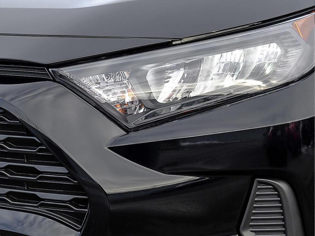 2025 Toyota RAV4 LE 4dr All-wheel Drive Photo