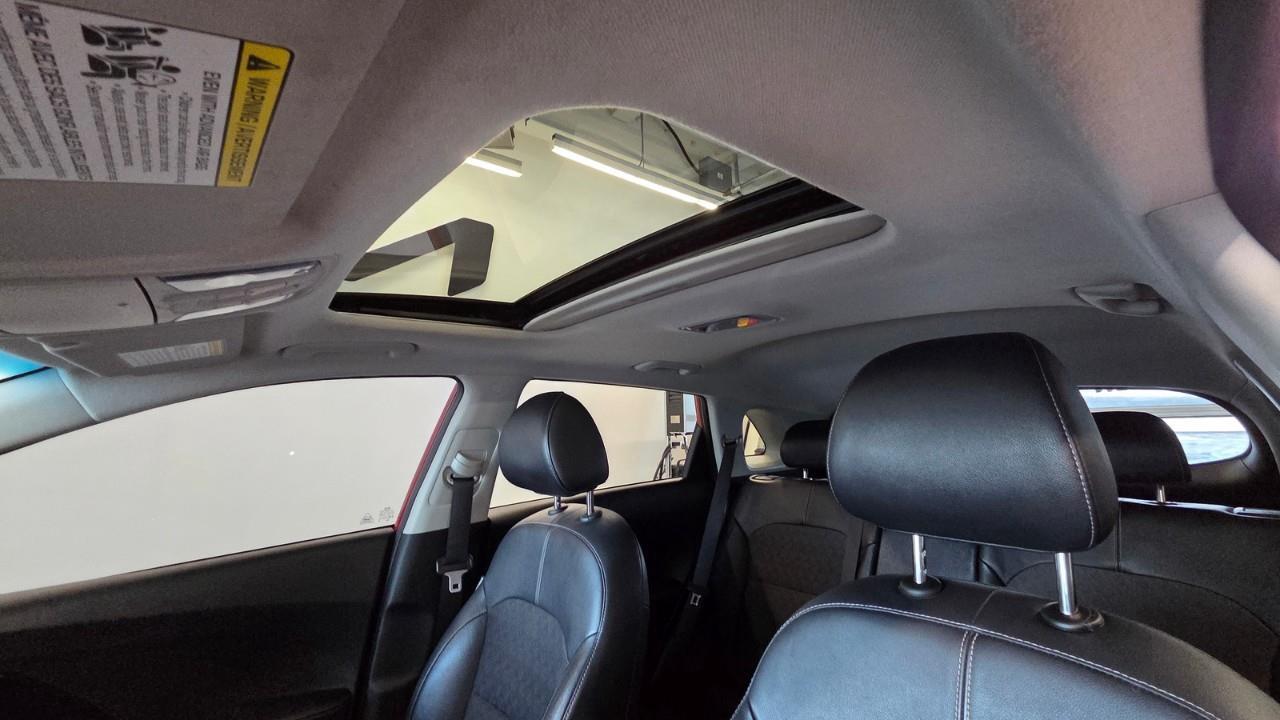 2020 Kia NIRO EX Premium 4dr Front-Wheel Drive Sport Utility Photo