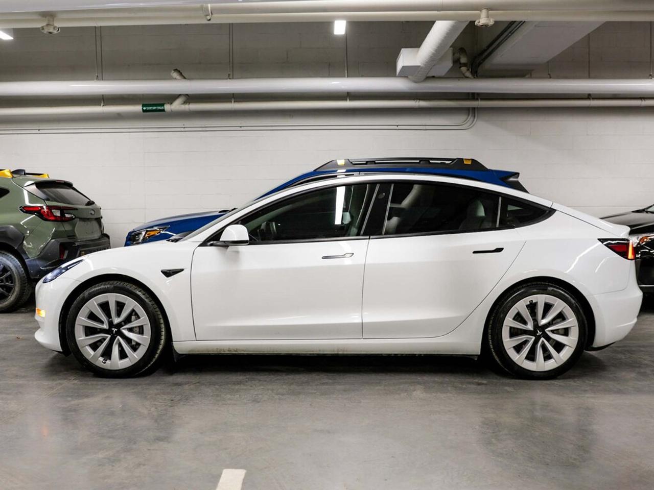 2021 Tesla Model 3  Photo