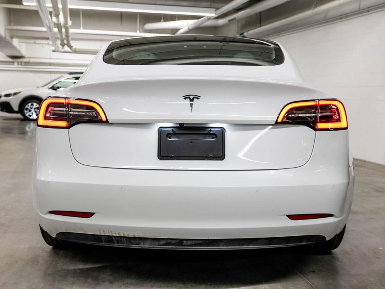 2021 Tesla Model 3  Photo