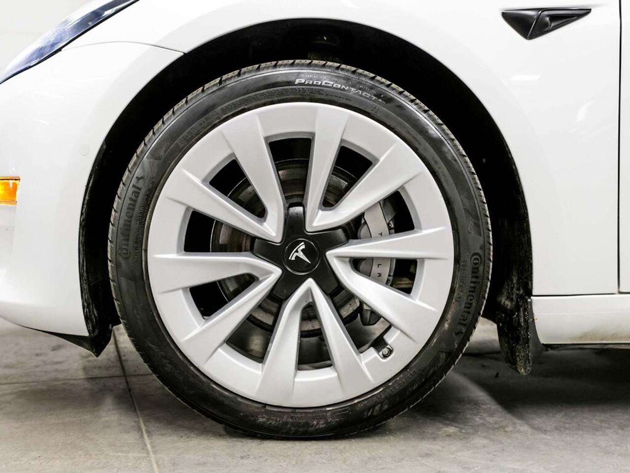 2021 Tesla Model 3  Photo