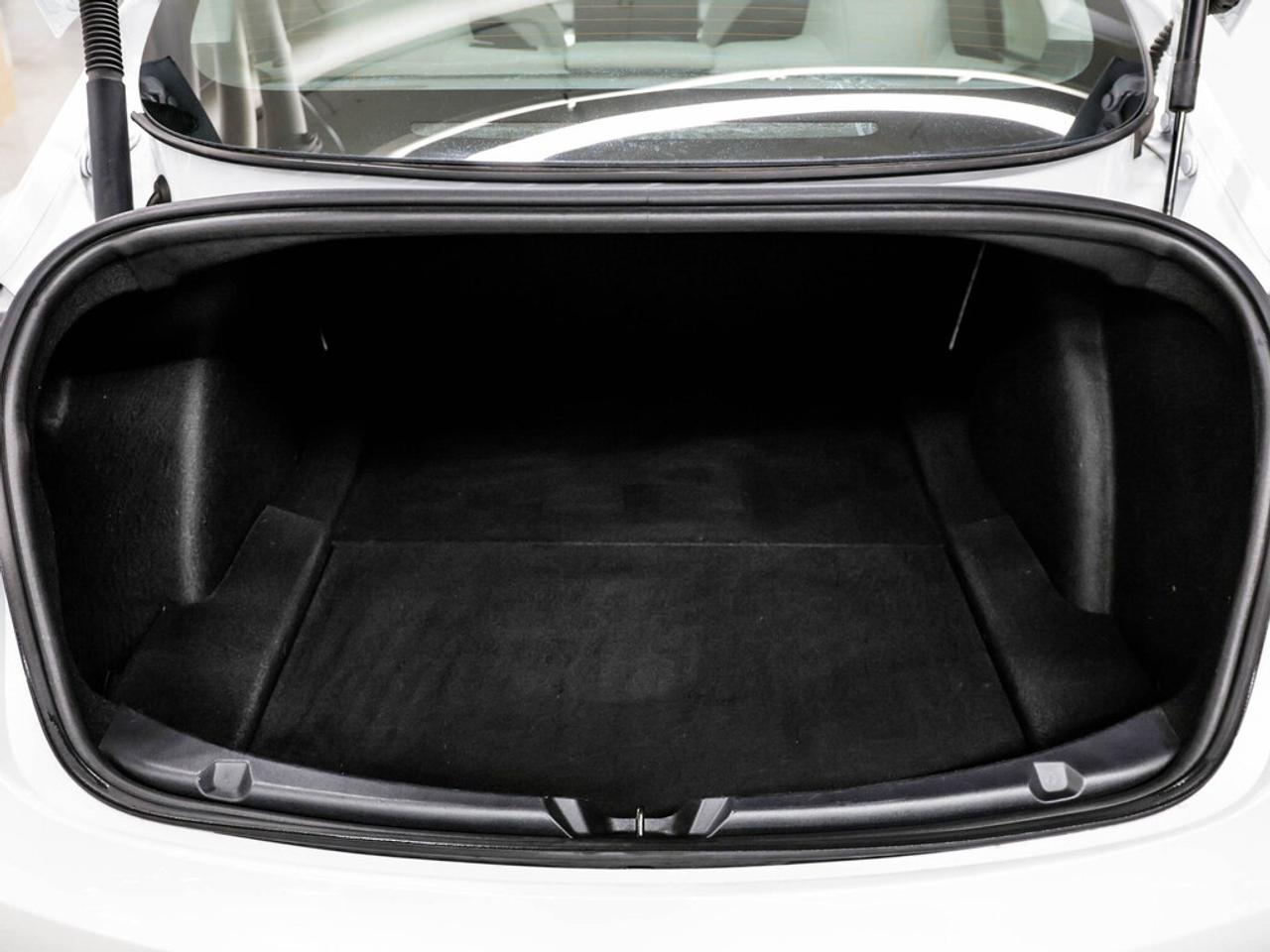 2021 Tesla Model 3  Photo
