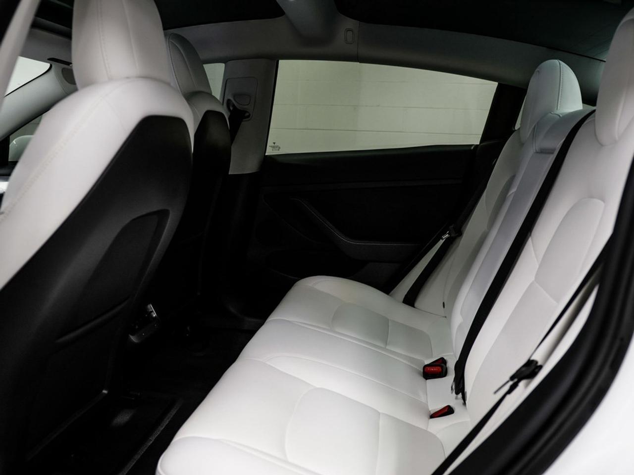 2021 Tesla Model 3  Photo