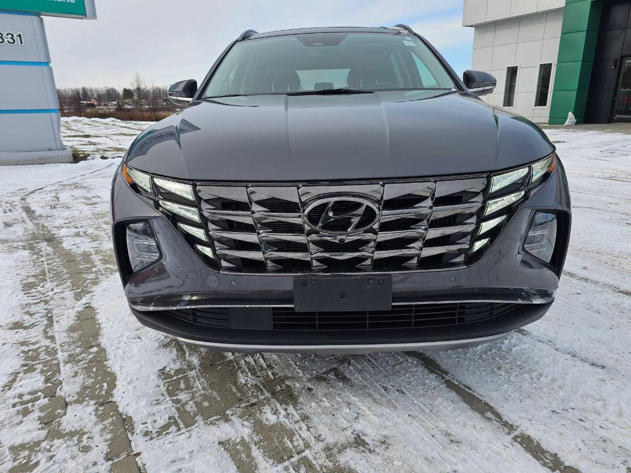 2022 Hyundai Tucson Hybrid Ultimate 4dr All-Wheel Drive Photo