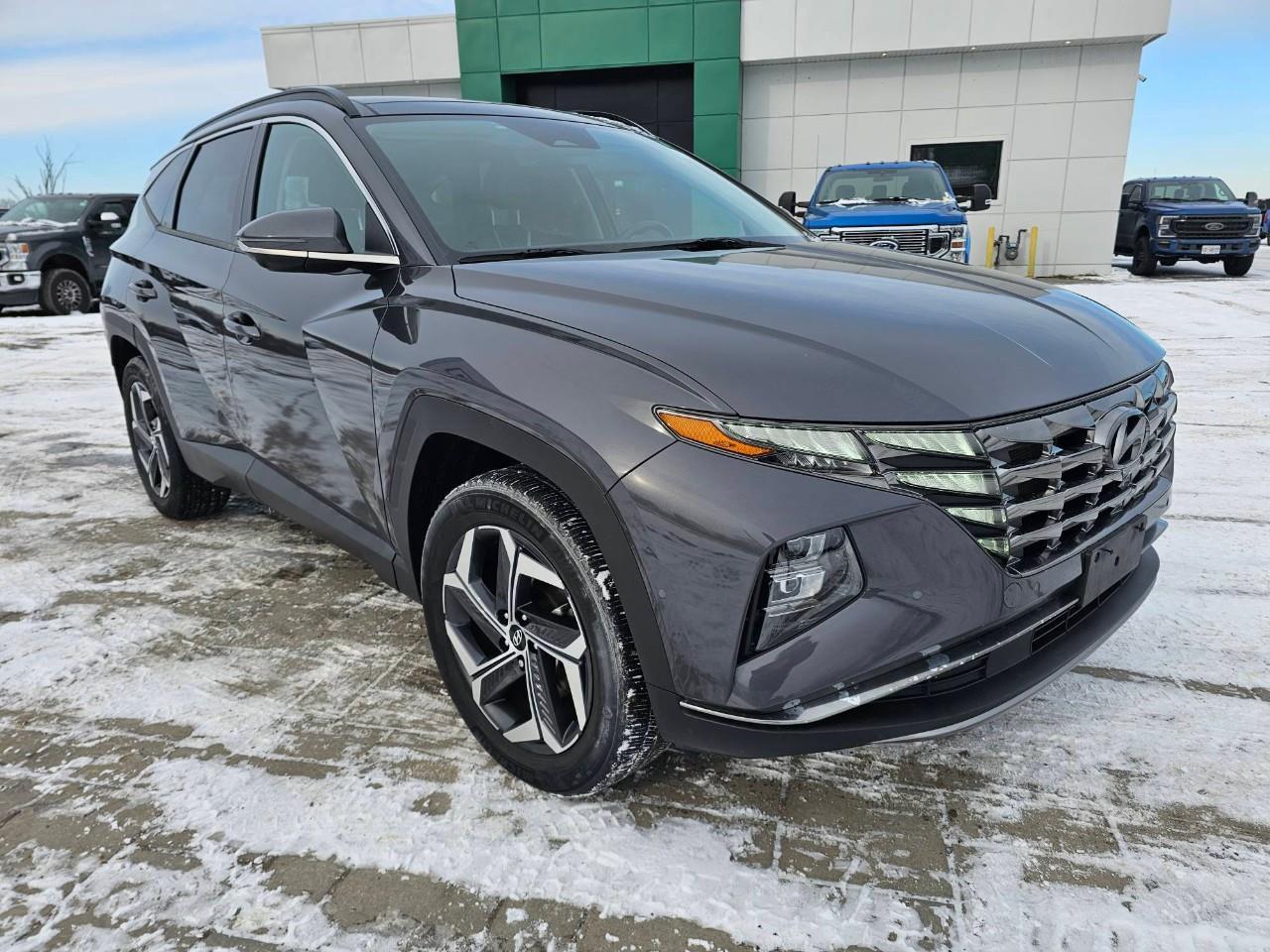2022 Hyundai Tucson Hybrid Ultimate 4dr All-Wheel Drive Photo