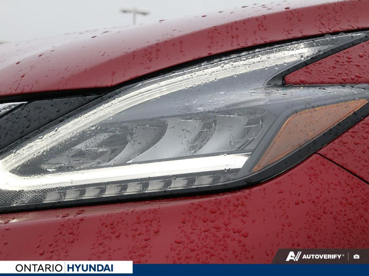 2023 Nissan Murano Platinum 4dr All-wheel Drive Photo