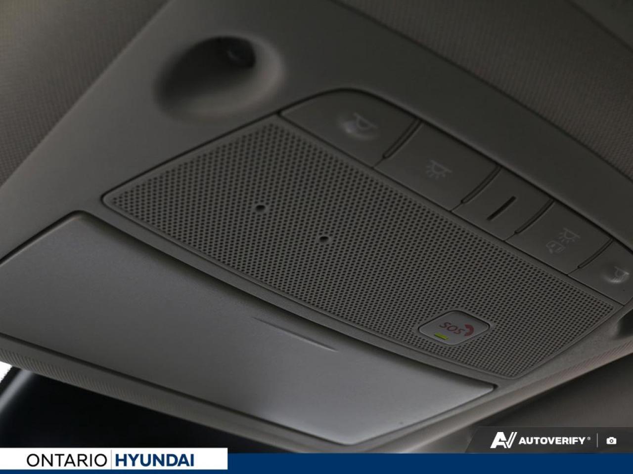 2023 Nissan Murano Platinum 4dr All-wheel Drive Photo