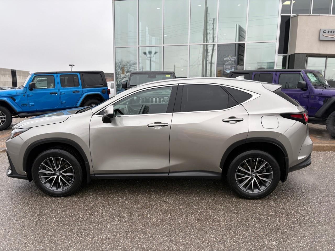 2023 Lexus NX 350h Base 4dr All-Wheel Drive Photo