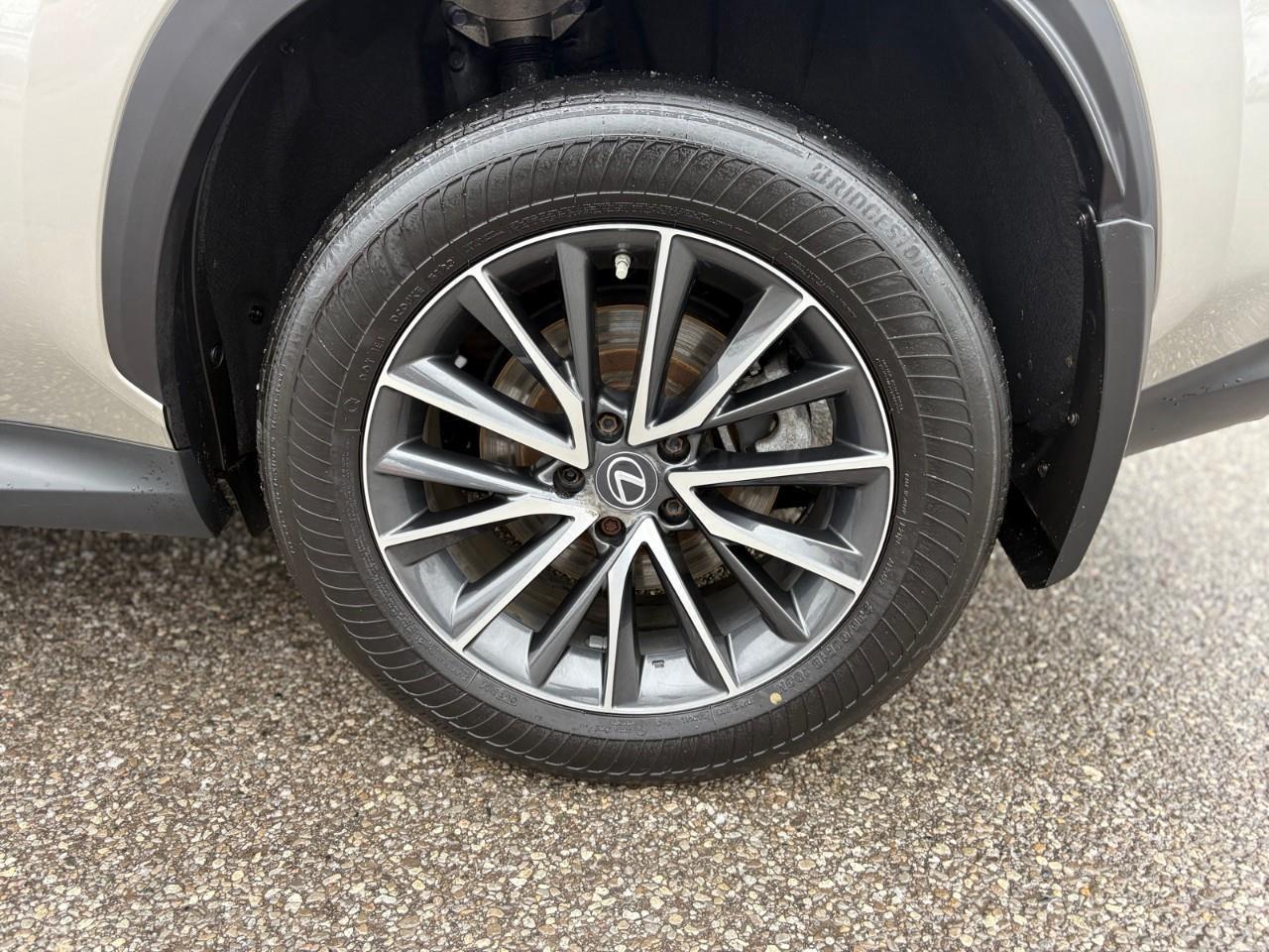 2023 Lexus NX 350h Base 4dr All-Wheel Drive Photo