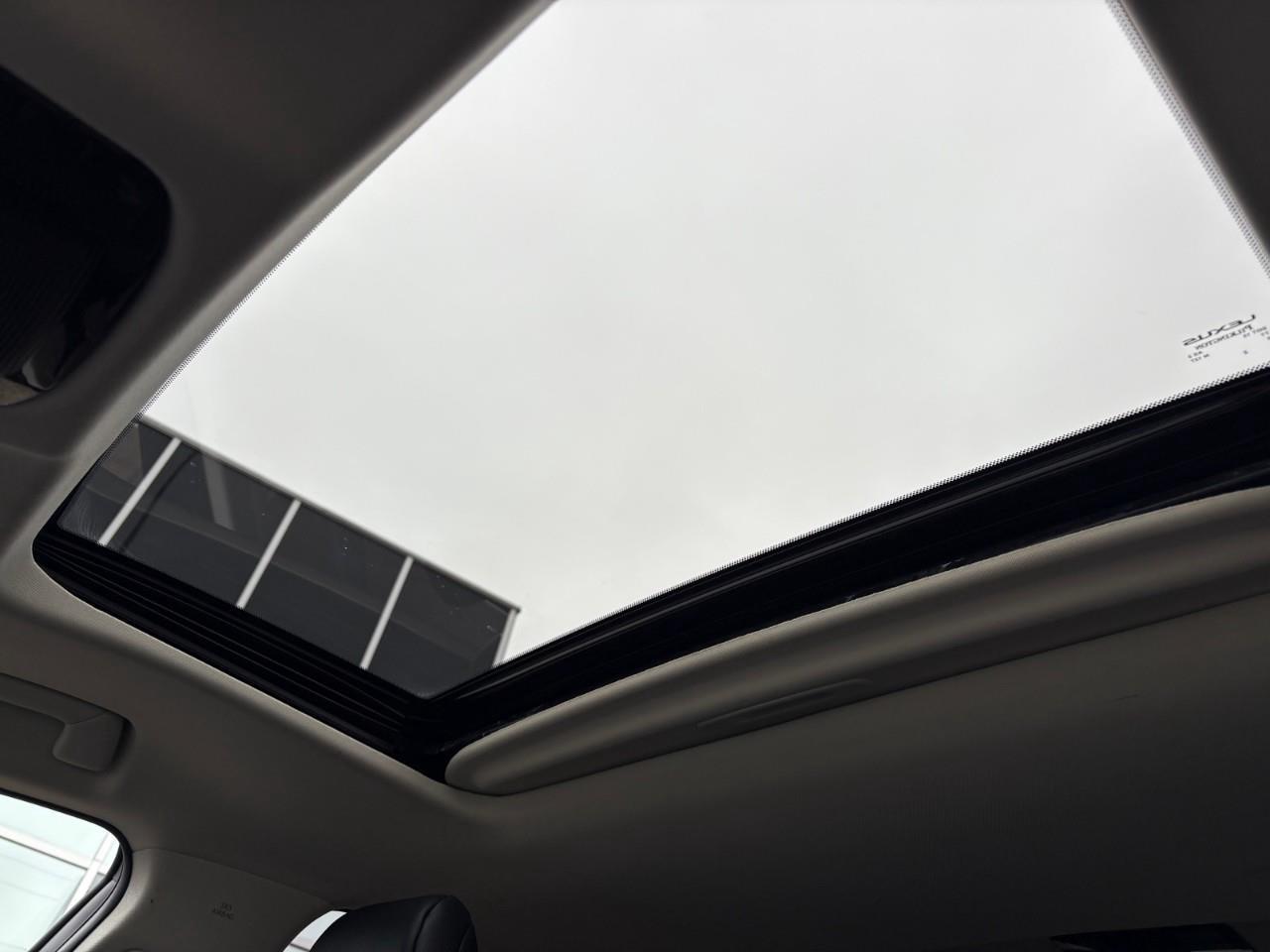 2023 Lexus NX 350h Base 4dr All-Wheel Drive Photo