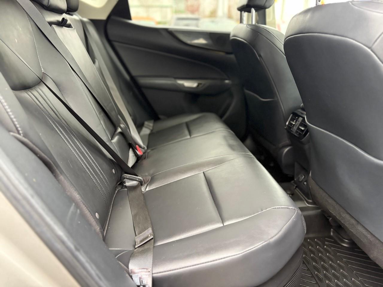 2023 Lexus NX 350h Base 4dr All-Wheel Drive Photo