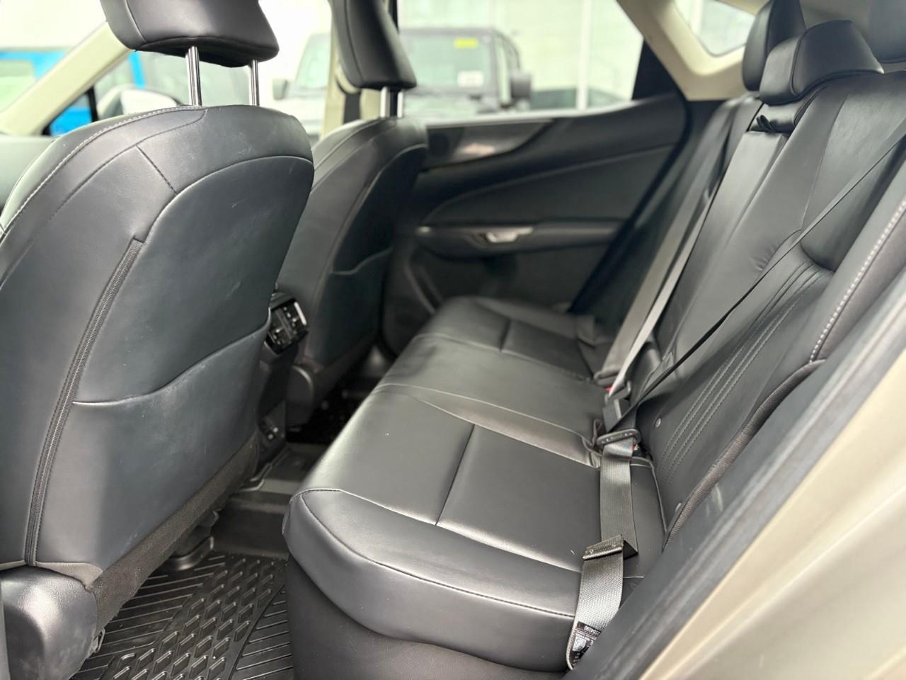 2023 Lexus NX 350h Base 4dr All-Wheel Drive Photo