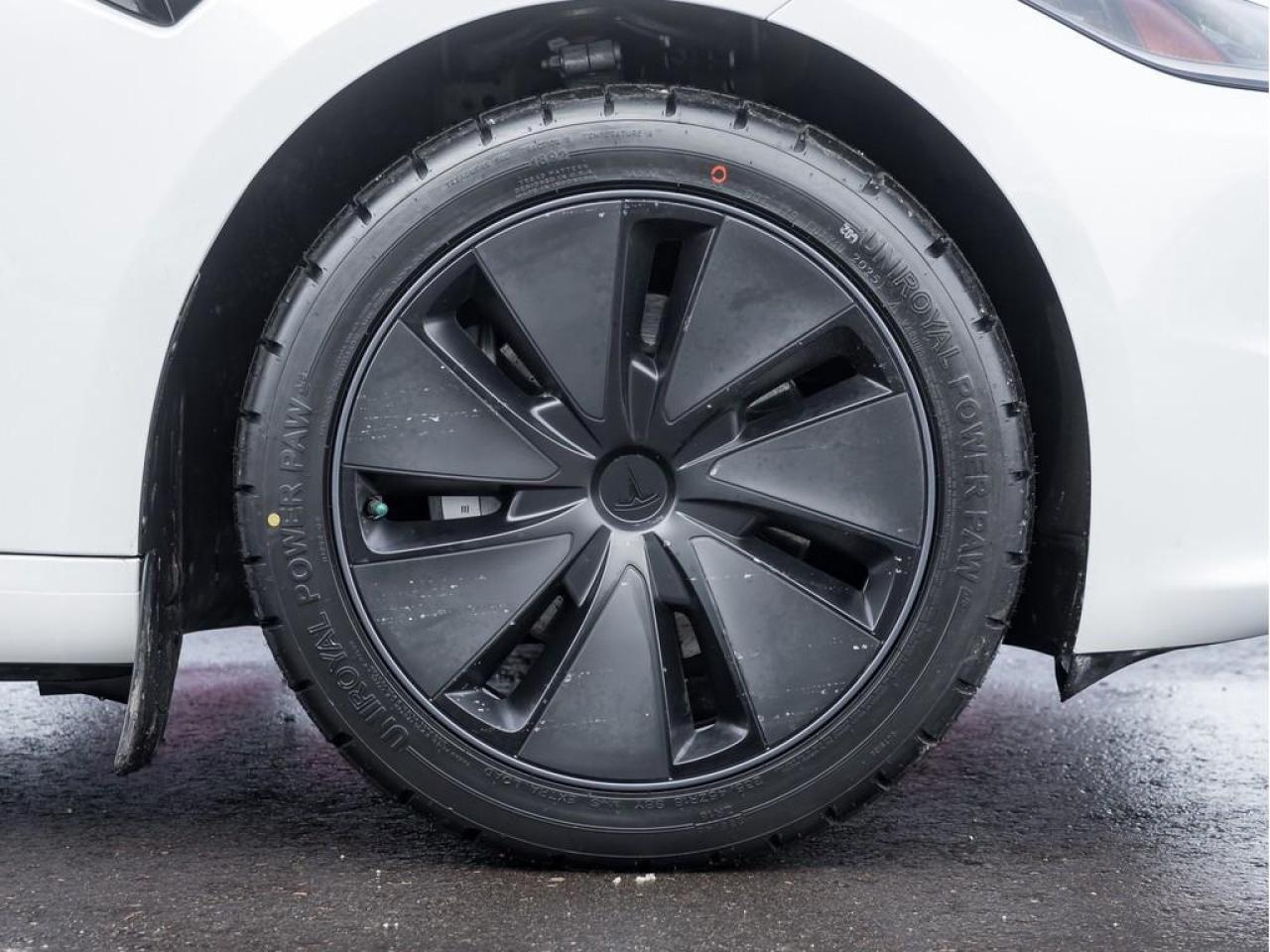 2024 Tesla Model 3 Base 4dr Rear-Wheel Drive Sedan Photo