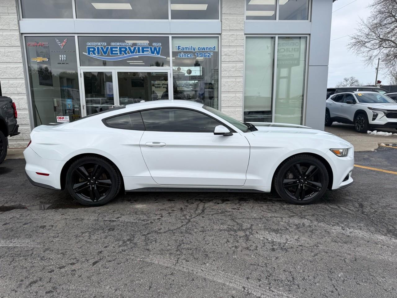 2016 Ford Mustang EcoBoost Premium 2dr Fastback Photo