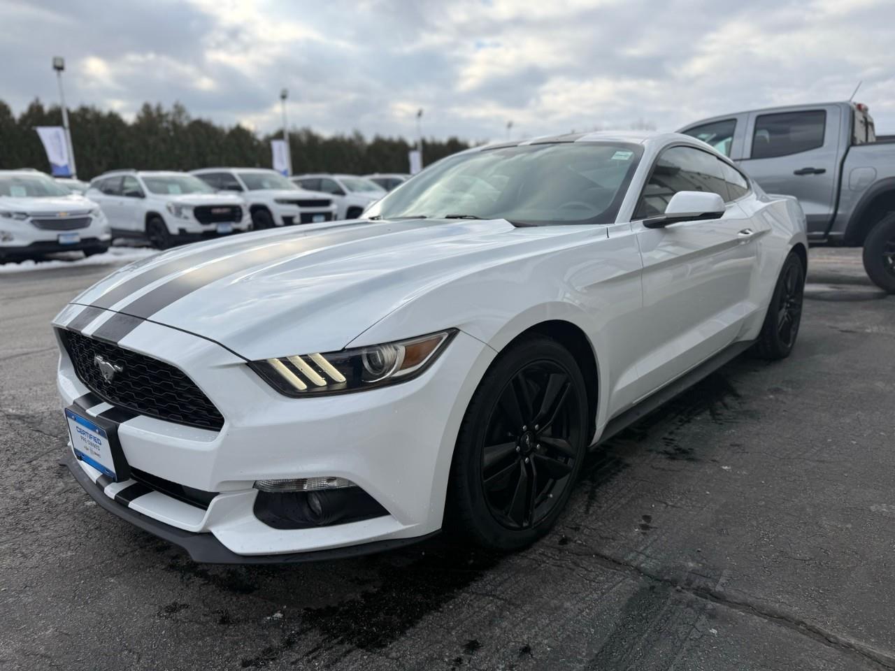2016 Ford Mustang EcoBoost Premium 2dr Fastback Photo