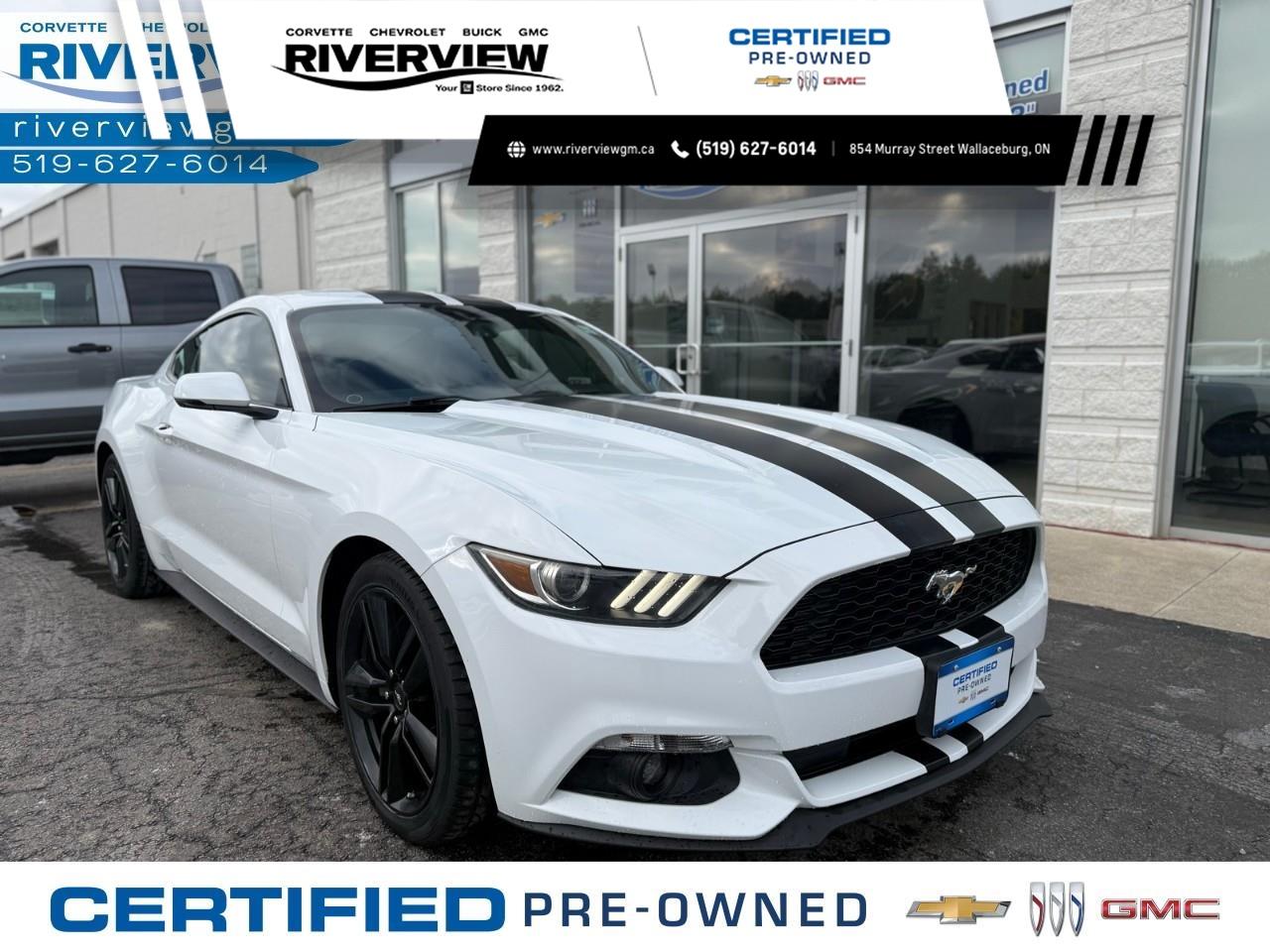 2016 Ford Mustang EcoBoost Premium 2dr Fastback Photo