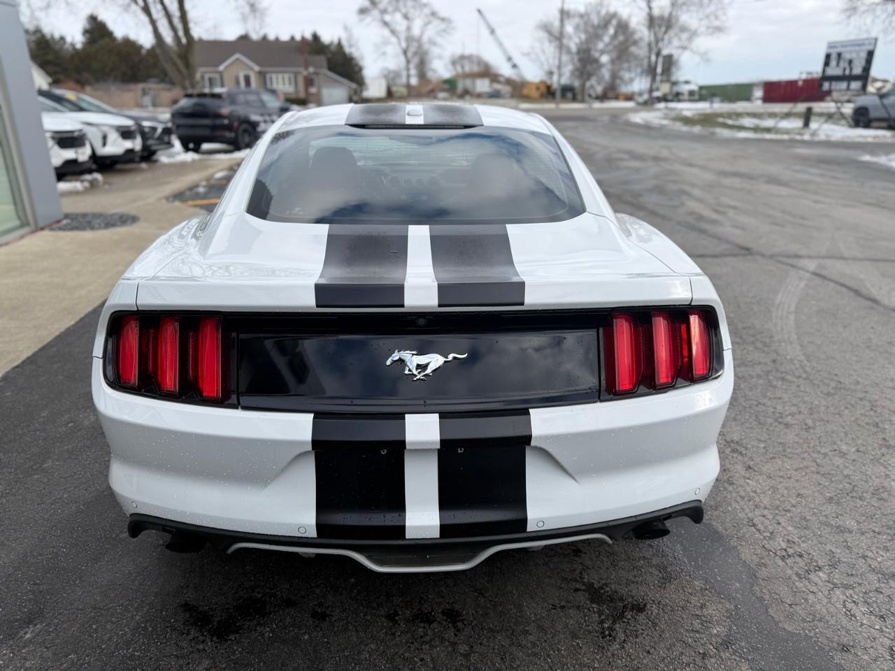 2016 Ford Mustang EcoBoost Premium 2dr Fastback Photo