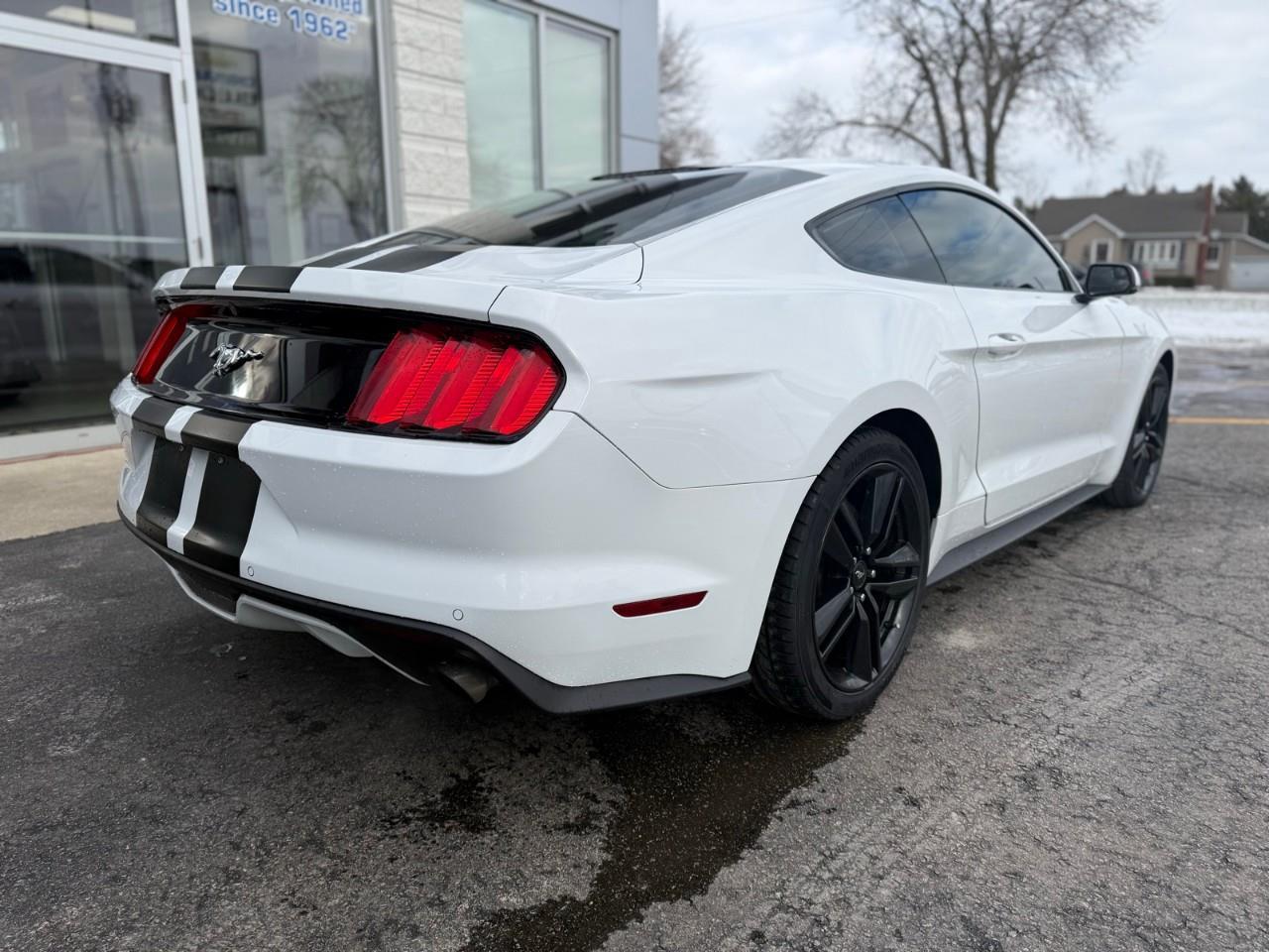 2016 Ford Mustang EcoBoost Premium 2dr Fastback Photo